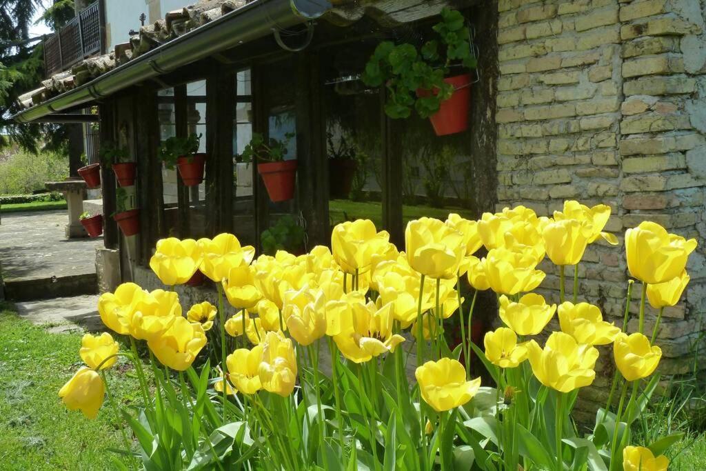 Casa Rural Mertxenea Landetxea Elcano Buitenkant foto
